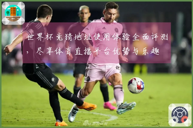 世界杯竞猜地址使用体验全面评测,尽享体育直播平台优势与乐趣