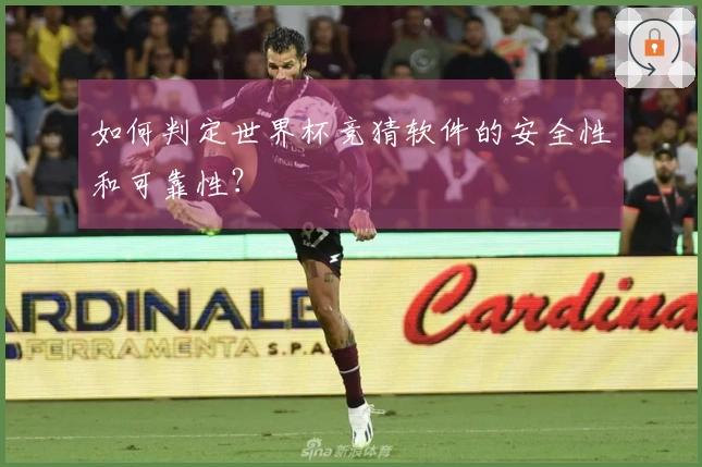 如何判定世界杯竞猜软件的安全性和可靠性?