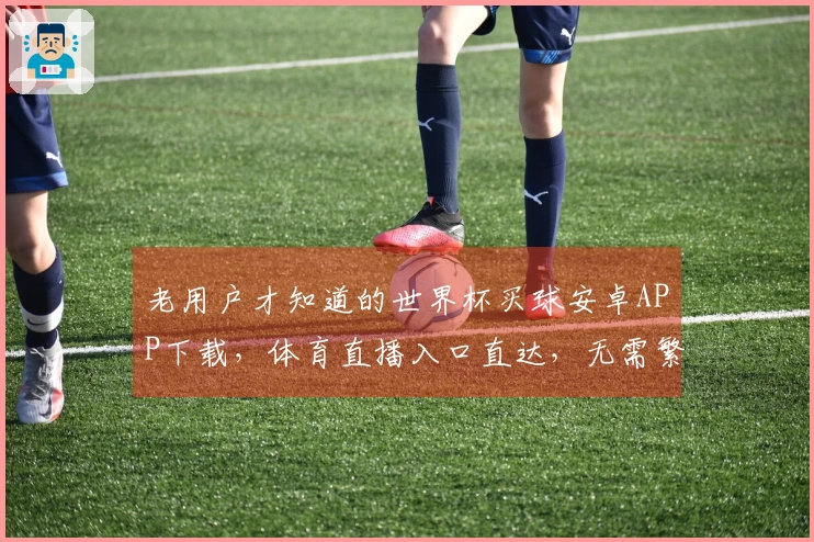 老用户才知道的世界杯买球安卓APP下载，体育直播入口直达，无需繁琐操作。