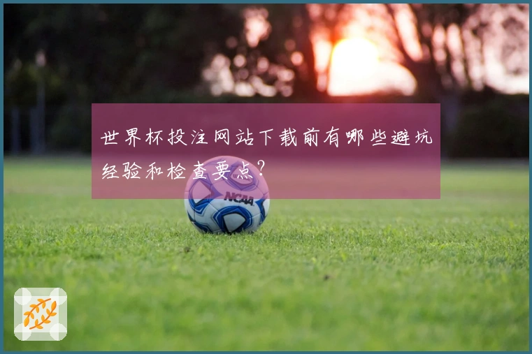 世界杯投注网站下载前有哪些避坑经验和检查要点？