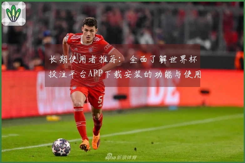 长期使用者推荐：全面了解世界杯投注平台APP下载安装的功能与使用体验