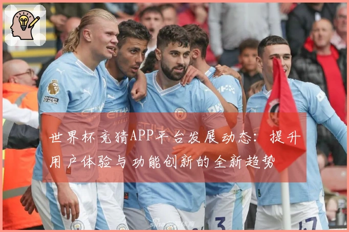 世界杯竞猜APP平台发展动态：提升用户体验与功能创新的全新趋势