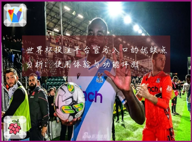 世界杯投注平台官方入口的优缺点分析：使用体验与功能评测
