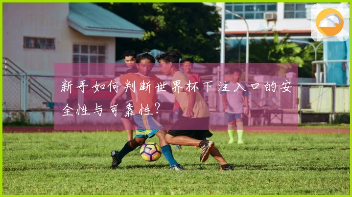 新手如何判断世界杯下注入口的安全性与可靠性？