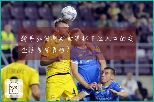 新手如何判断世界杯下注入口的安全性与可靠性？