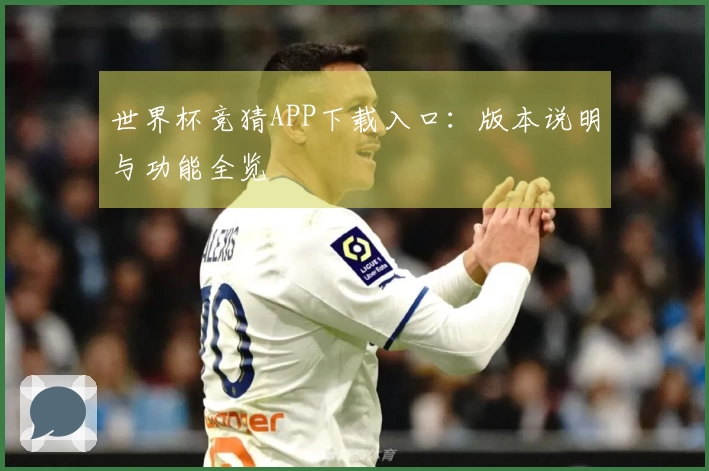 世界杯竞猜APP下载入口：版本说明与功能全览