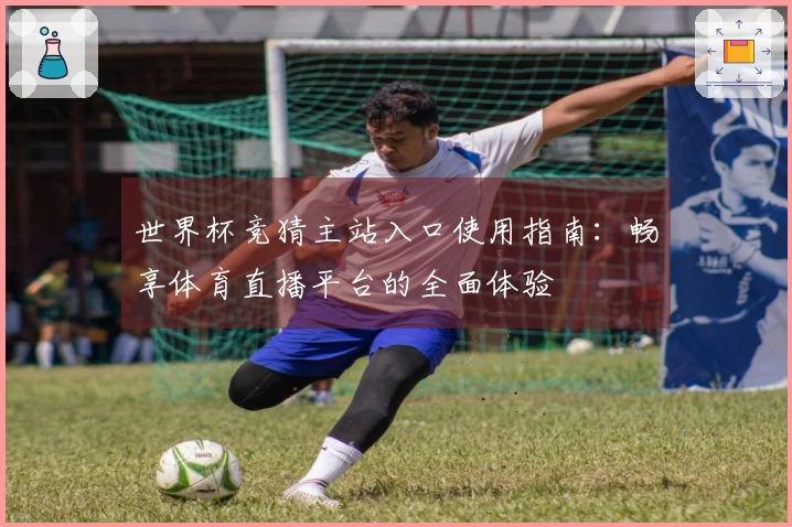世界杯竞猜主站入口使用指南：畅享体育直播平台的全面体验