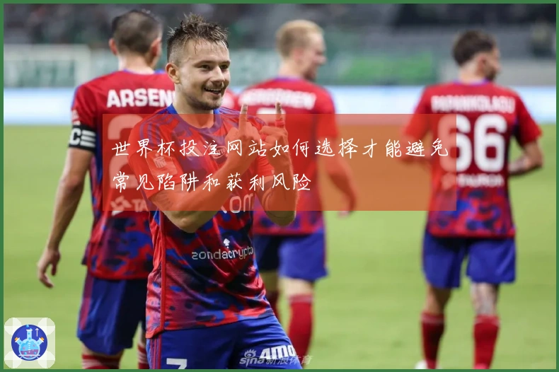 世界杯投注网站如何选择才能避免常见陷阱和获利风险