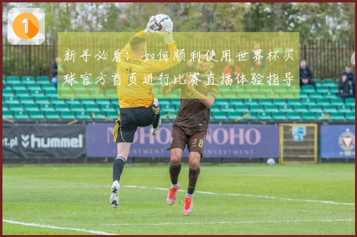 新手必看:如何顺利使用世界杯买球官方首页进行比赛直播体验指导